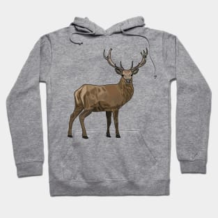 Deer cartoon illustration Hoodie